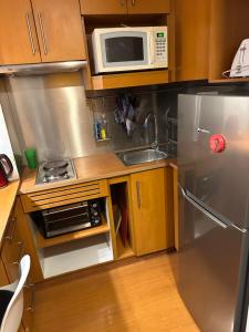 Precioso departamento Providencia central