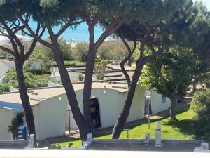 Couchant Cosy studio, terrasse couverte face à la mer, clim, parking, wifi