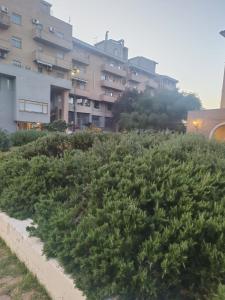 Domo de Centro, centro di Olbia img41