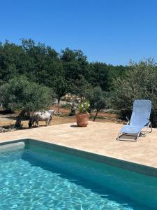 La Bastide des Crinieres Argentees