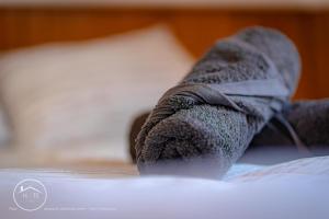 Appartements Le cocon savoyard : photos des chambres