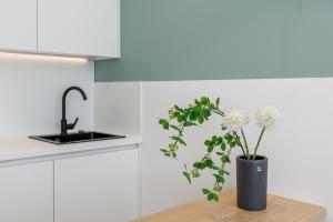 River Stay Apartments