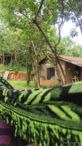 Camping e pousada dos sonhos