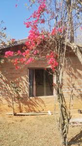 Camping e pousada dos sonhos