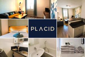 Appartements L-Oasis-T2 spacieux-Wifi-TV-Proche Gare : photos des chambres