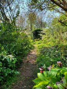 Le Jardin des Papillons, gîte et chambre dhôtes à Saint Fraimbault