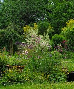 Le Jardin des Papillons, gîte et chambre dhôtes à Saint Fraimbault
