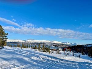 Eidekollen
