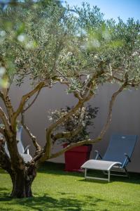 Maisons de vacances Belle maison jardin piscine pres Avignon : photos des chambres