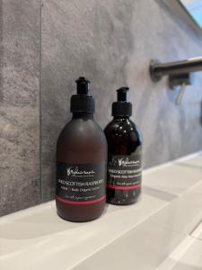 Modern apartment in town centre