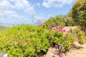 Villa Due Mari Coda Cavallo img19