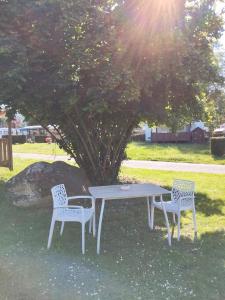 Maisons de vacances Mobil Home for chilling out Camping Park *** : photos des chambres