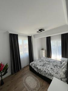 Dany rent