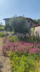 Maisons de vacances Maison charmante a Villiers-le-Roux avec jardin : photos des chambres