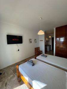 Serenity Studio by Agrilia Studios