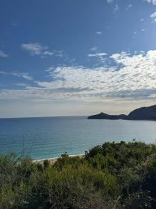 Serenity Studio by Agrilia Studios