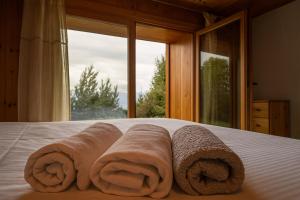 Cozy chalet with view-Peaceful escape in Nendaz