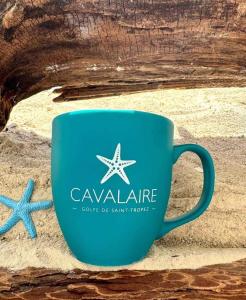 B&B / Chambres d'hotes Villa Hirondelles 35 : photos des chambres