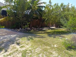 Bambu house Holbox beach front