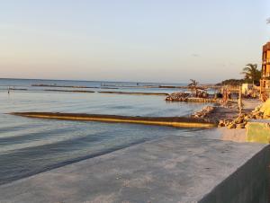 Bambu house Holbox beach front
