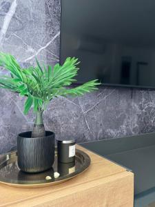 La Palma Holiday Apartment