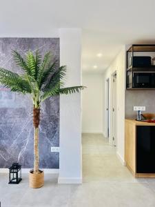 La Palma Holiday Apartment