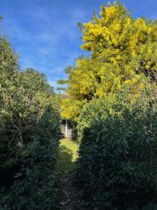 Villas MAISON - Authentique echoppe Bordelaise avec jardin : photos des chambres