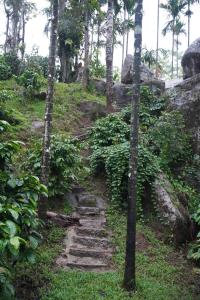 LAKE VIEW Chikkamagaluru