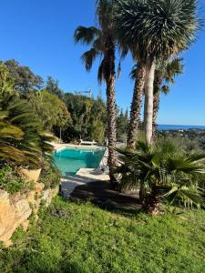 B&B / Chambres d'hotes Villa Hirondelles 35 : photos des chambres