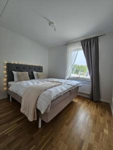 There is no planet like E Planet