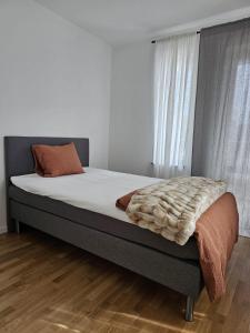 There is no planet like E Planet