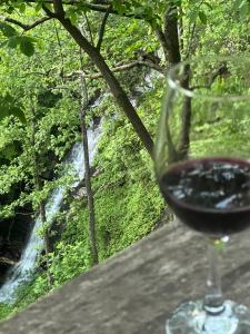 Waterfall Overlook at Bearfoot Falls