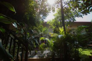 Busy Bee Resort, Pokhara