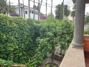 Guesthouse Casa DEL RIO