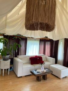 Cabañas Campestres con jacuzzi - San felix