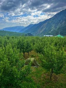 The Hideout - Hiraeth