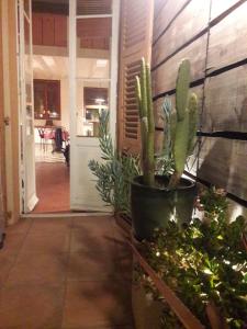 Studio-type loft au cœur de Roquebrune