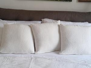 La Cornice nel Centro-503