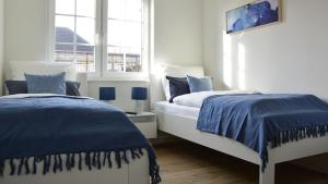 Kegelrobbe D1 - Tossens