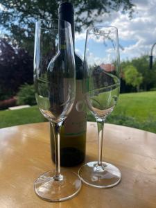 Zelena Oaza nadomak Beograda