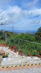 Sa Mesaluna Naturhouse img10