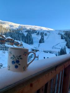 Troadkastn Chalet Lachtal