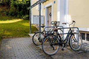 Come4Stay Innstadtgarten Domblick