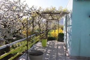 Appartement au pied du Haut Koenigsbourg