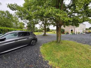 B&B / Chambres d'hotes Chambre Beetle close to Bayeux - Normandie : Chambre Simple avec Salle de Bains Privative