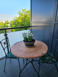 Apartament aleja 1 Maja