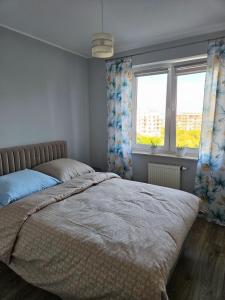 Apartament aleja 1 Maja