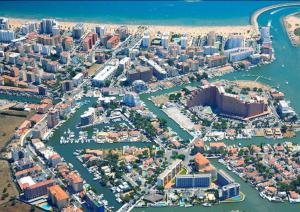 Le nid de la mouette