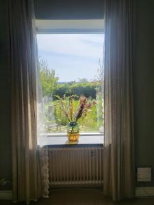 Cosy and charming semi-detached house in Hilleshög