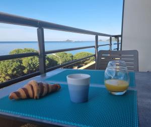 Beau Studio vue sur mer, route des sanguinaires